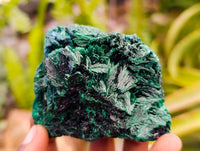 Natural Silky Malachite Specimens x 6 From Kasompe, Congo