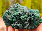 Natural Silky Malachite Specimens x 6 From Kasompe, Congo
