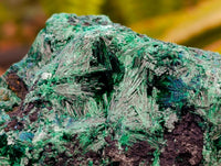 Natural Silky Malachite Specimens x 6 From Kasompe, Congo