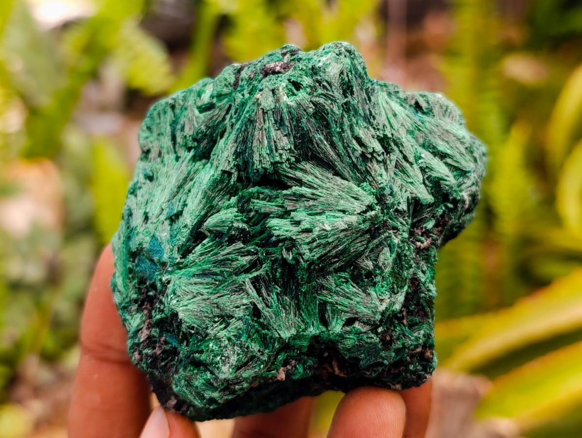 Natural Silky Malachite Specimens x 6 From Kasompe, Congo