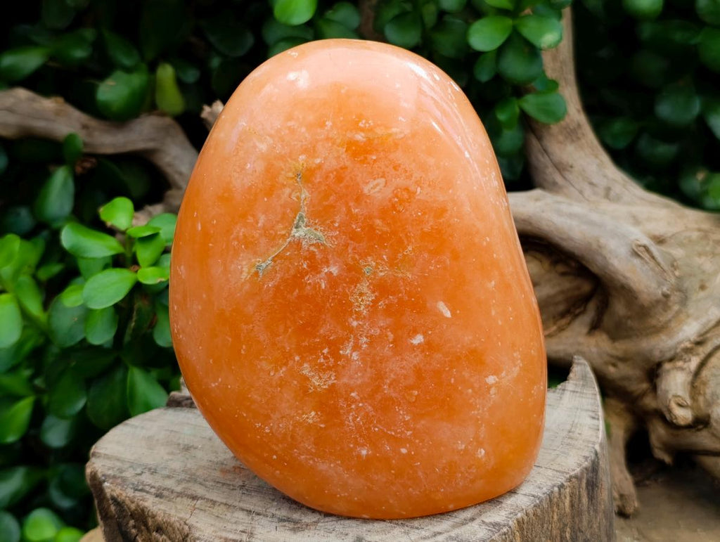 Polished Orange Twist Calcite Standing Free Forms x 2 From Maevantanana, Madagascar