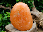 Polished Orange Twist Calcite Standing Free Forms x 2 From Maevantanana, Madagascar