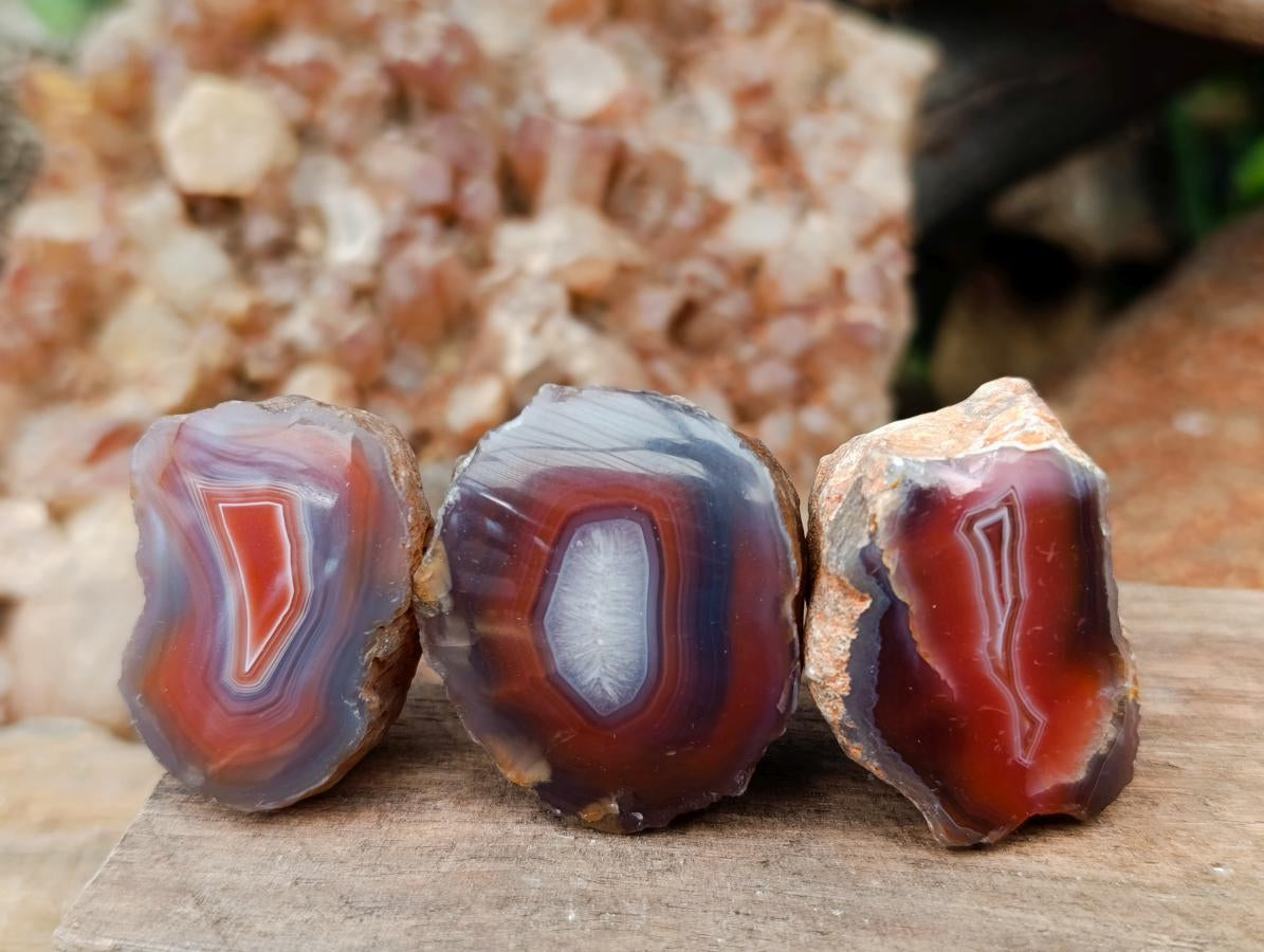 Polished On One Side Red Shashe River Agate Nodules x 48 From Shashe River, Zimbabwe