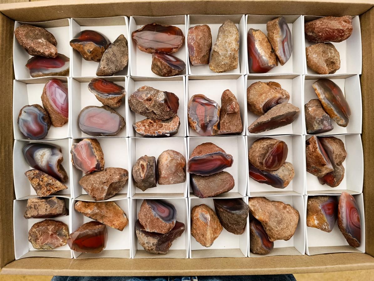 Polished On One Side Red Shashe River Agate Nodules x 48 From Shashe River, Zimbabwe