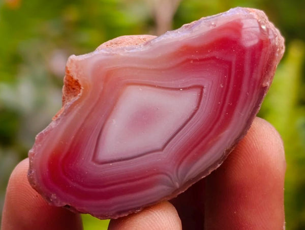 Polished On One Side Red Shashe River Agate Nodules x 48 From Shashe River, Zimbabwe