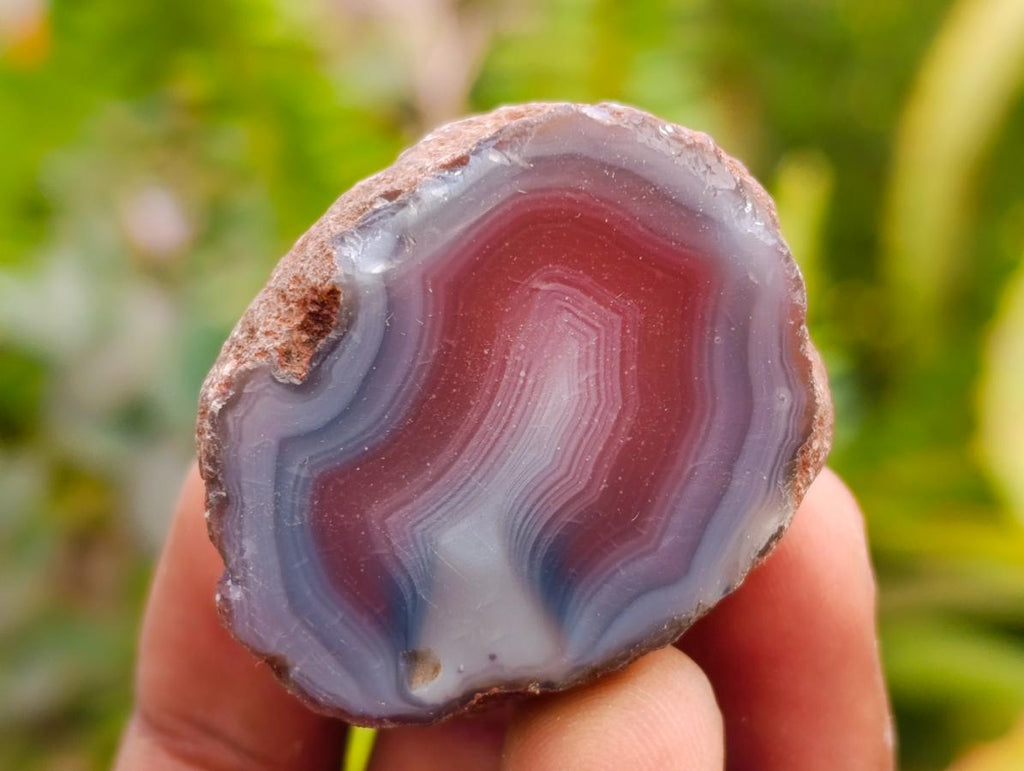 Polished On One Side Red Shashe River Agate Nodules x 48 From Shashe River, Zimbabwe