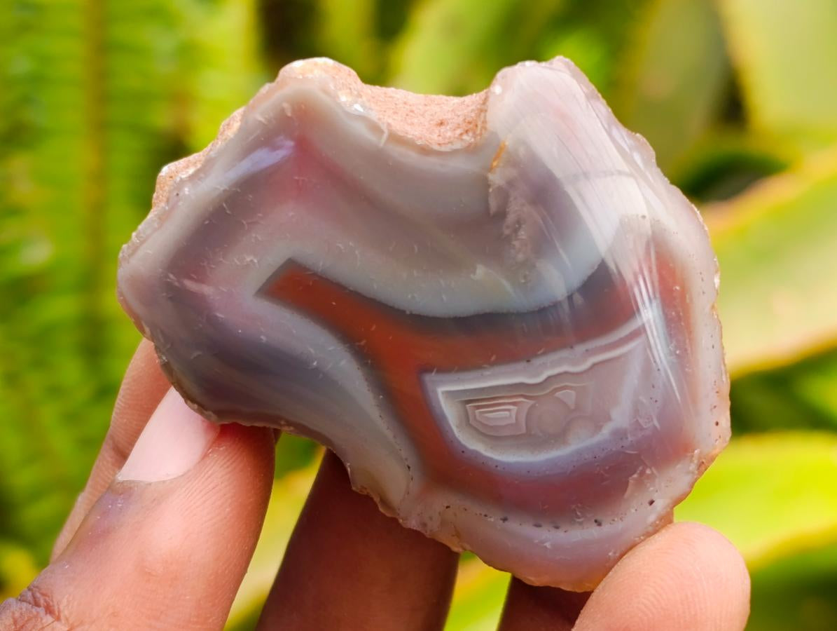 Polished On One Side Red Shashe River Agate Nodules x 48 From Shashe River, Zimbabwe