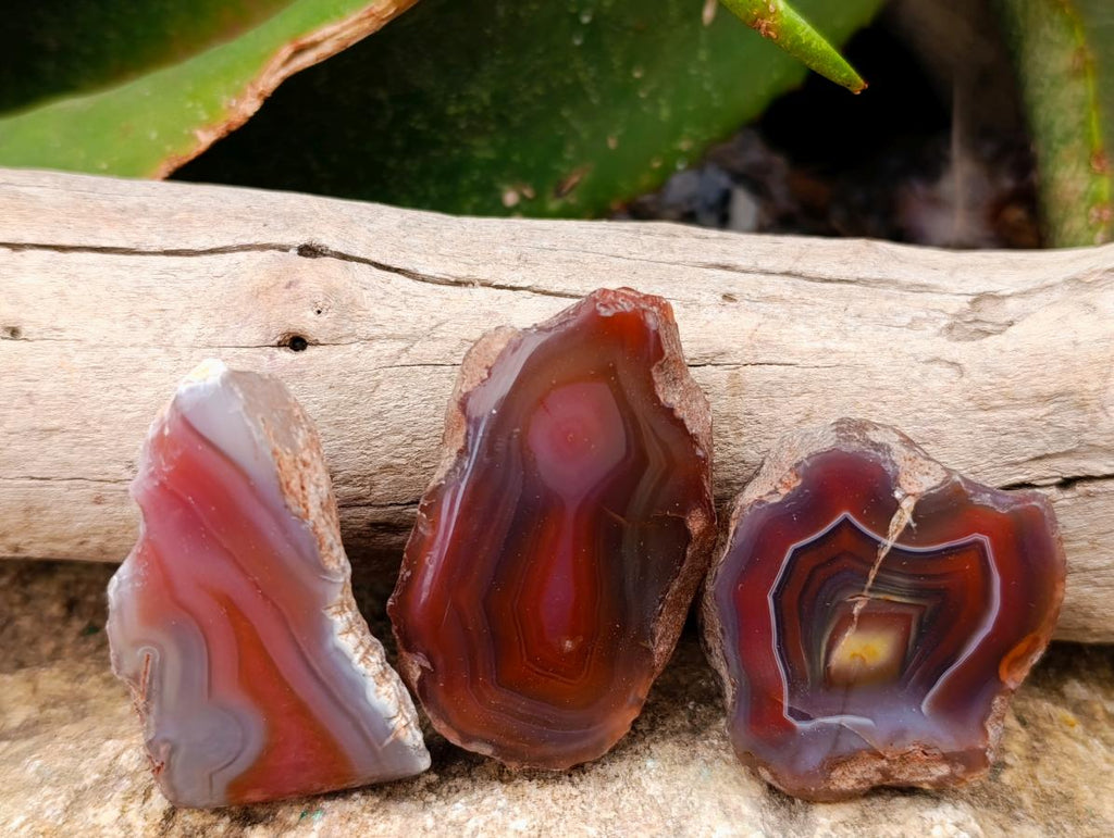 Polished On One Side Red Shashe River Agate Nodules x 48 From Shashe River, Zimbabwe