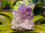 Natural Jacaranda Amethyst Crystal Clusters x 2 From Mumbwa, Zambia