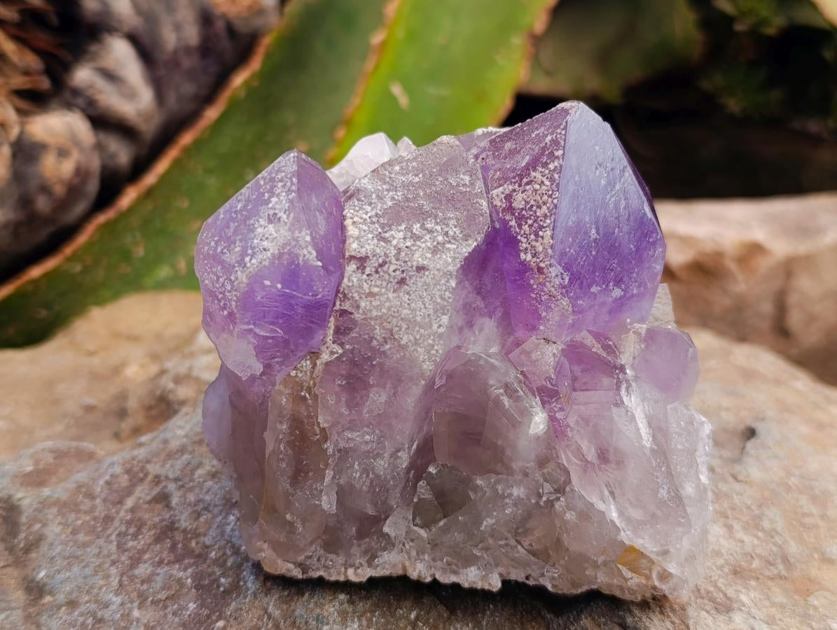 Natural Jacaranda Amethyst Crystal Clusters x 2 From Mumbwa, Zambia