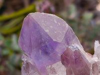 Natural Jacaranda Amethyst Crystal Clusters x 2 From Mumbwa, Zambia