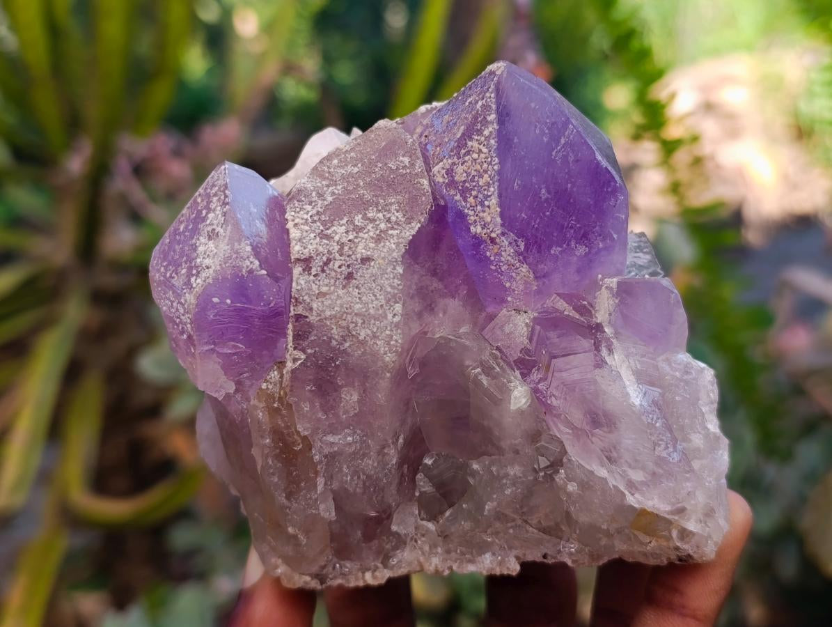 Natural Jacaranda Amethyst Crystal Clusters x 2 From Mumbwa, Zambia