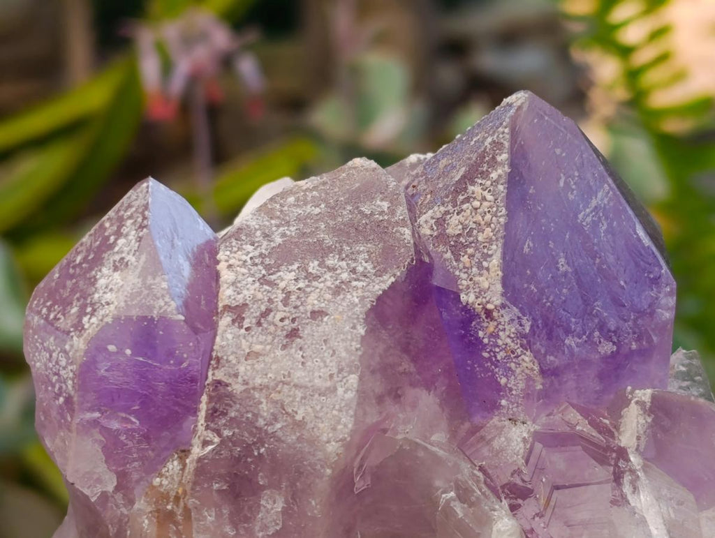 Natural Jacaranda Amethyst Crystal Clusters x 2 From Mumbwa, Zambia
