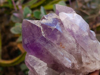 Natural Jacaranda Amethyst Crystal Clusters x 2 From Mumbwa, Zambia