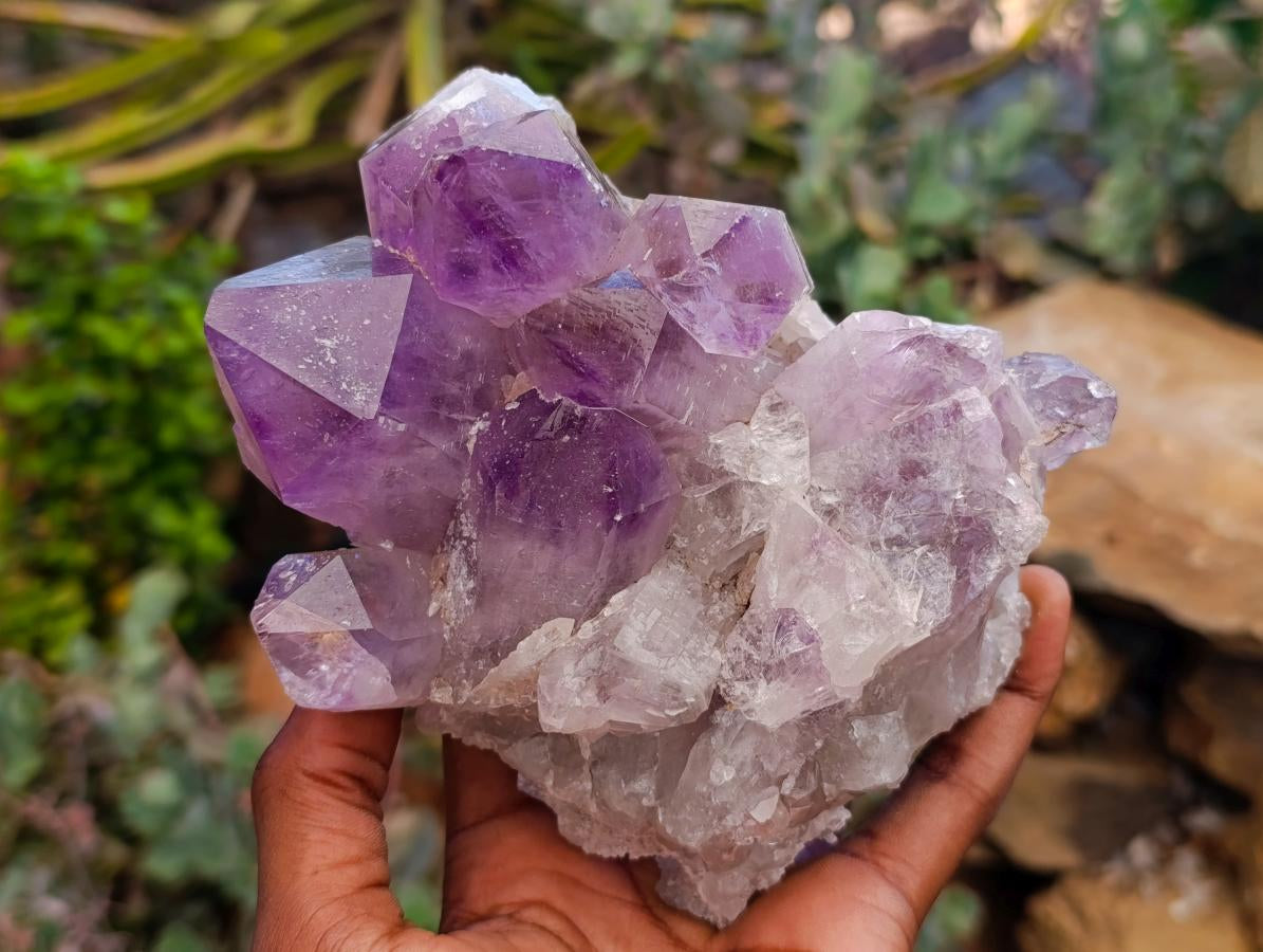 Natural Jacaranda Amethyst Crystal Clusters x 2 From Mumbwa, Zambia