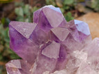 Natural Jacaranda Amethyst Crystal Clusters x 2 From Mumbwa, Zambia