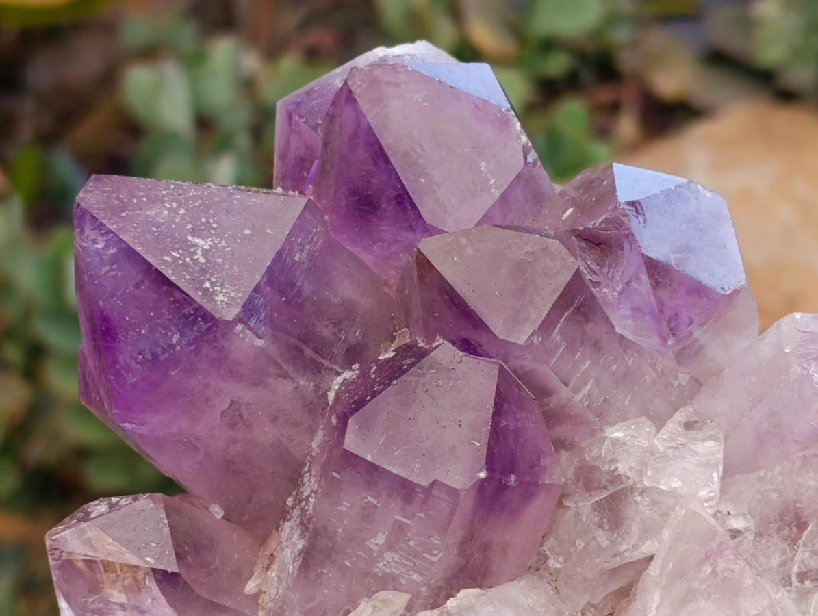 Natural Jacaranda Amethyst Crystal Clusters x 2 From Mumbwa, Zambia