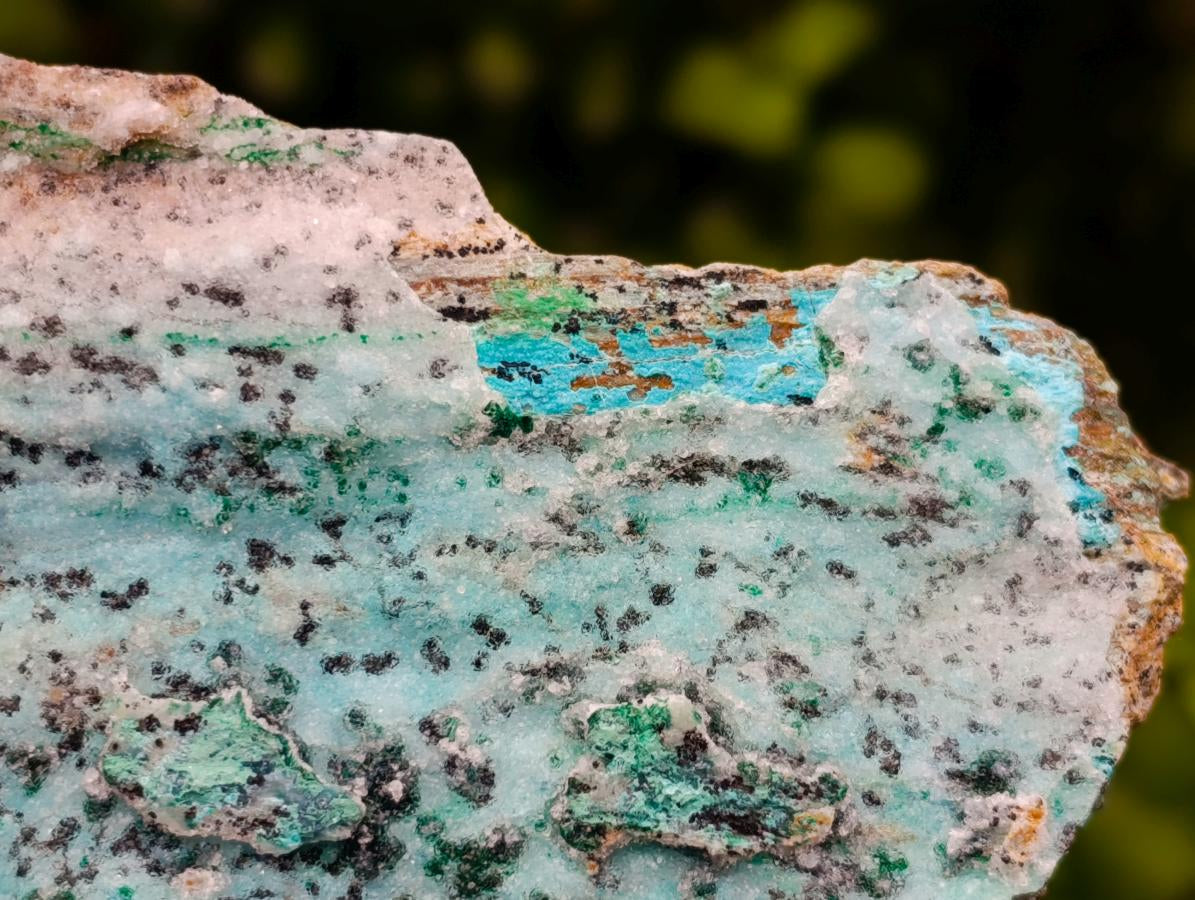 Natural Drusy Coated Chrysocolla On Dolomite Specimens x 3 From Lupoto Mine, Congo