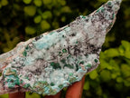 Natural Drusy Coated Chrysocolla On Dolomite Specimens x 3 From Lupoto Mine, Congo