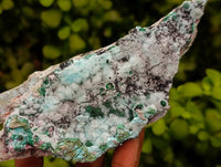 Natural Drusy Coated Chrysocolla On Dolomite Specimens x 3 From Lupoto Mine, Congo