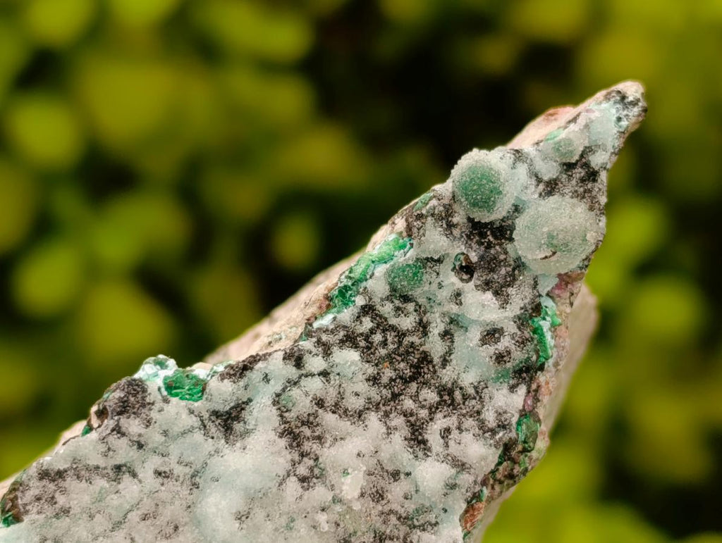 Natural Drusy Coated Chrysocolla On Dolomite Specimens x 3 From Lupoto Mine, Congo