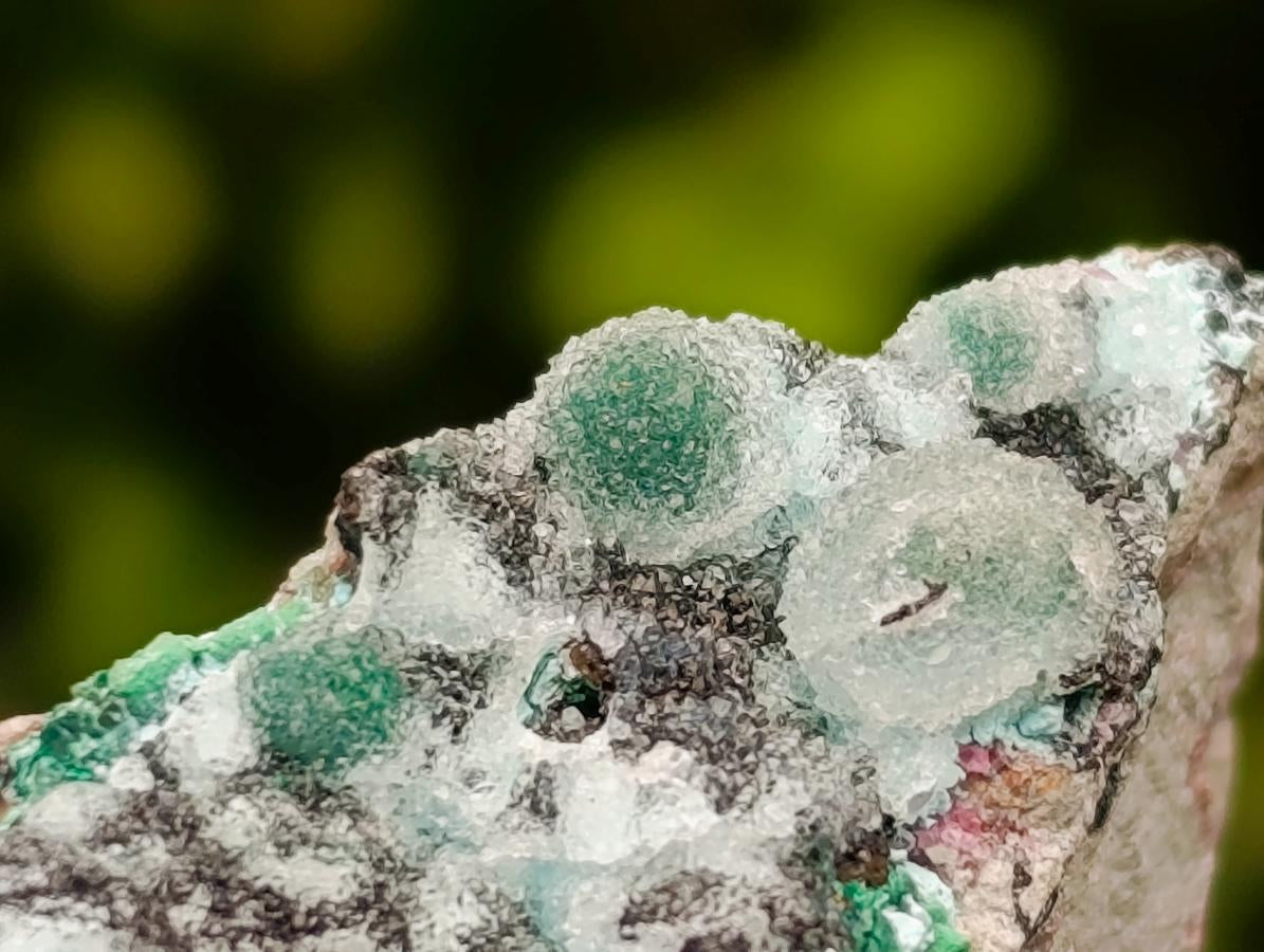 Natural Drusy Coated Chrysocolla On Dolomite Specimens x 3 From Lupoto Mine, Congo