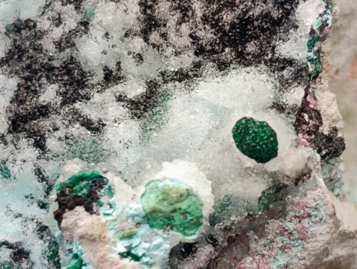 Natural Drusy Coated Chrysocolla On Dolomite Specimens x 3 From Lupoto Mine, Congo