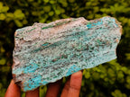 Natural Drusy Coated Chrysocolla On Dolomite Specimens x 3 From Lupoto Mine, Congo