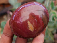 Polished Red Podocarpus Petrified Wood Palm Stones x 12 From Mahajanga, Madagascar