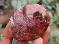 Polished Red Podocarpus Petrified Wood Palm Stones x 12 From Mahajanga, Madagascar