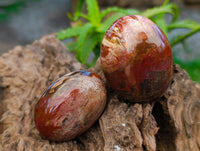 Polished Red Podocarpus Petrified Wood Palm Stones x 12 From Mahajanga, Madagascar