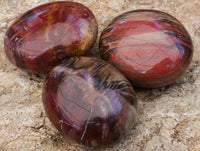 Polished Red Podocarpus Petrified Wood Palm Stones x 12 From Mahajanga, Madagascar