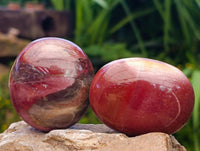 Polished Red Podocarpus Petrified Wood Palm Stones x 12 From Mahajanga, Madagascar