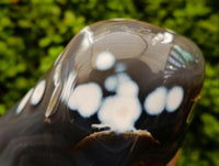 Polished Snow Orca Agate Standing Free Form x 1 From Madagascar