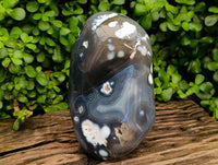 Polished Snow Orca Agate Standing Free Form x 1 From Madagascar