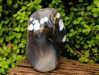 Polished Snow Orca Agate Standing Free Form x 1 From Madagascar