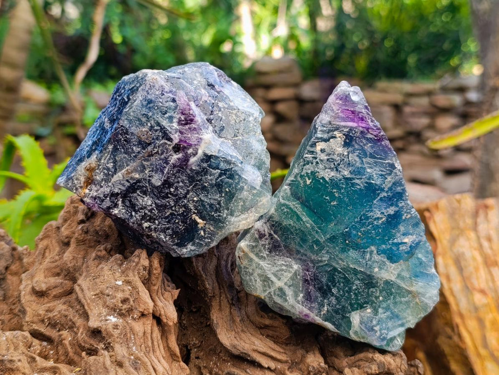 Natural Watermelon Fluorite Cobbed Specimens x 6 From Uis, Namibia