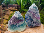 Natural Watermelon Fluorite Cobbed Specimens x 6 From Uis, Namibia