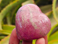 Polished Pink Rhodonite Gemstone Hearts x 6 From Ambindavato, Madagascar
