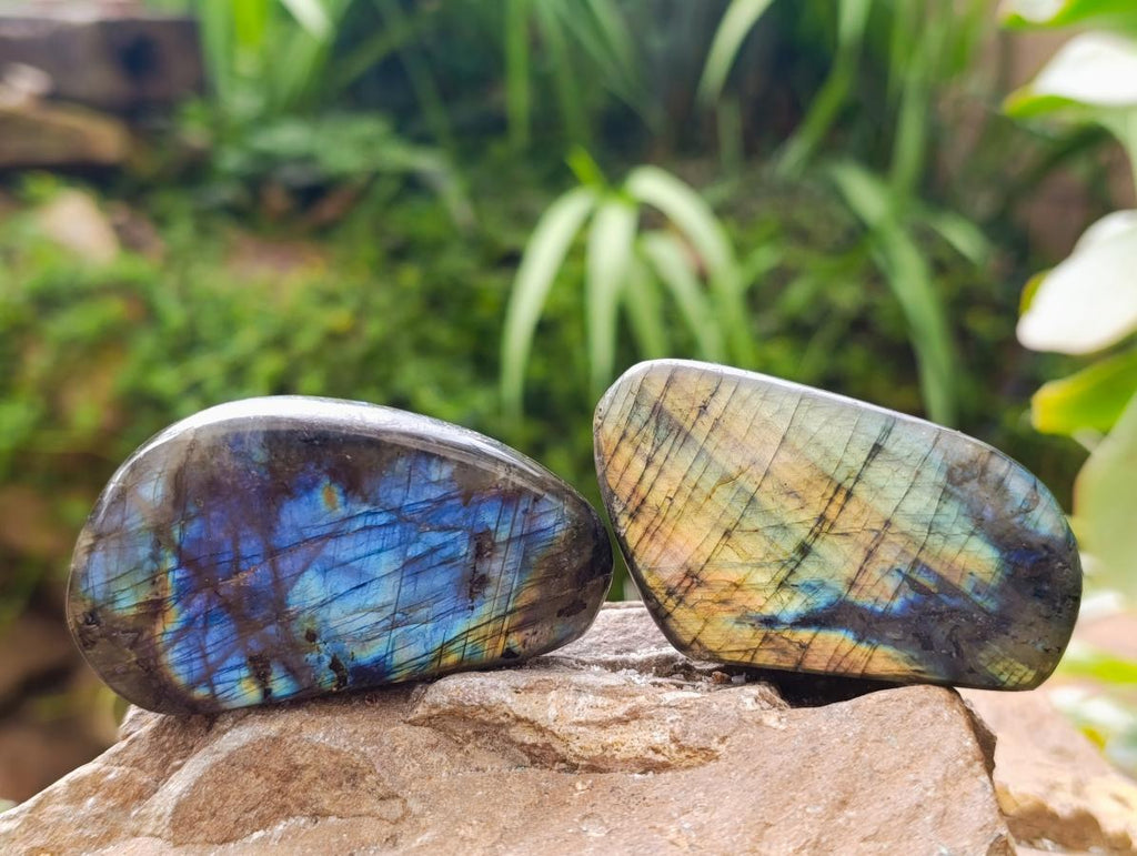 Polished Labradorite Standing Free Forms x 12 From Tulear, Madagascar