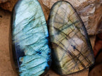 Polished Labradorite Standing Free Forms x 12 From Tulear, Madagascar