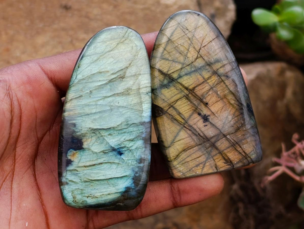 Polished Labradorite Standing Free Forms x 12 From Tulear, Madagascar