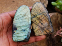 Polished Labradorite Standing Free Forms x 12 From Tulear, Madagascar