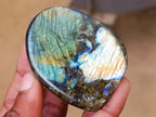 Polished Labradorite Standing Free Forms x 12 From Tulear, Madagascar