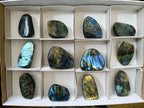 Polished Labradorite Standing Free Forms x 12 From Tulear, Madagascar