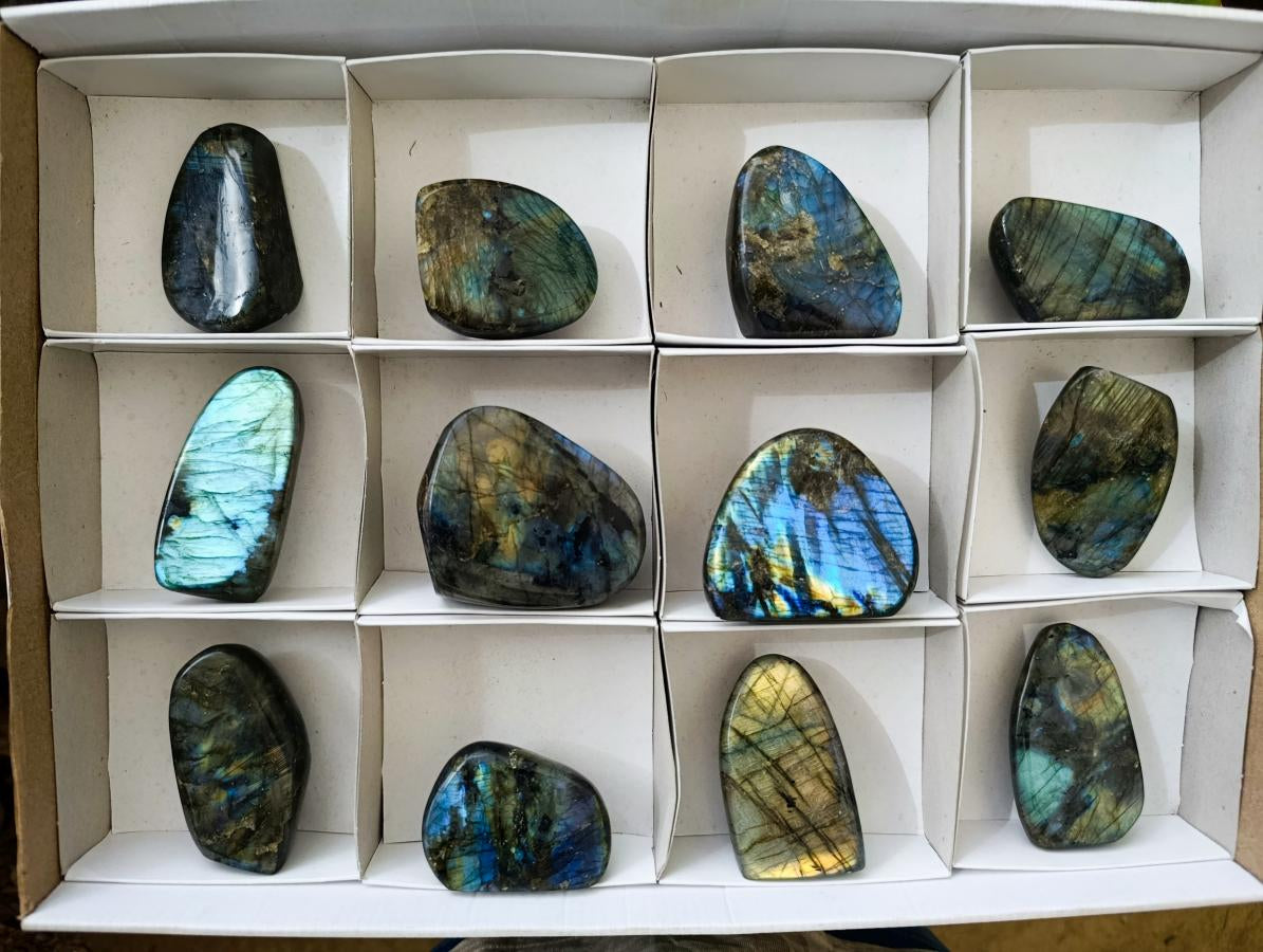 Polished Labradorite Standing Free Forms x 12 From Tulear, Madagascar