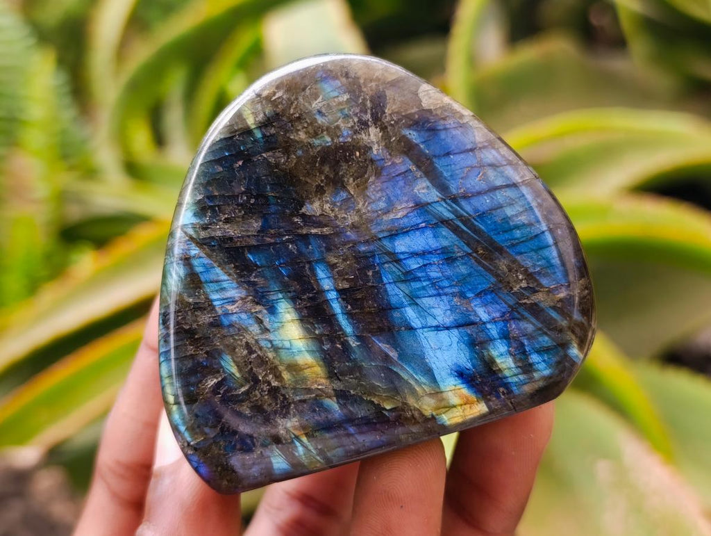 Polished Labradorite Standing Free Forms x 12 From Tulear, Madagascar
