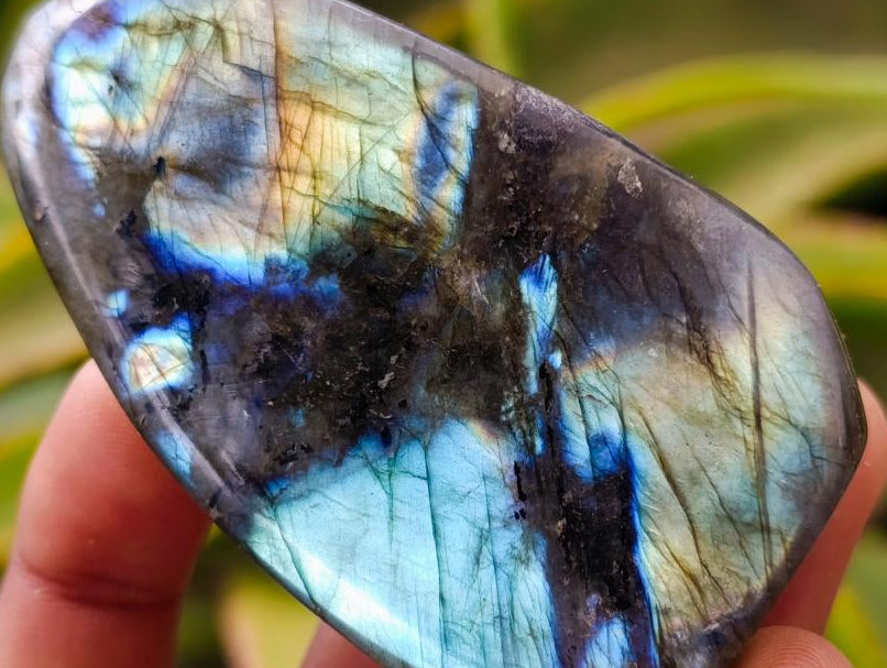 Polished Labradorite Standing Free Forms x 12 From Tulear, Madagascar