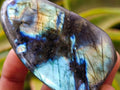 Polished Labradorite Standing Free Forms x 12 From Tulear, Madagascar