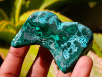 Polished Malacolla Free Forms x 6 From Kulukuluku, Congo